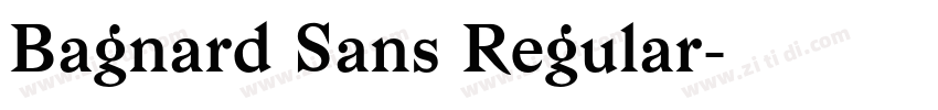 Bagnard Sans Regular字体转换